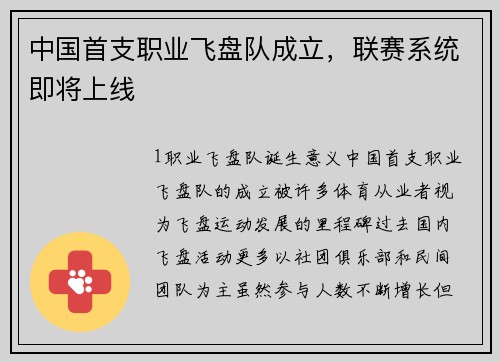 中国首支职业飞盘队成立，联赛系统即将上线