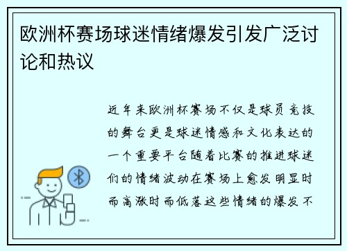 欧洲杯赛场球迷情绪爆发引发广泛讨论和热议